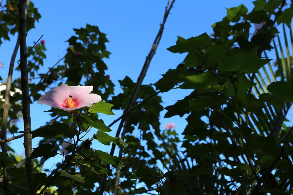The Hideaway Hotel Самара Екстер'єр фото